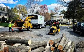 Lawn Irrigation Installation and Maintenance in Lake Telemark, NJ