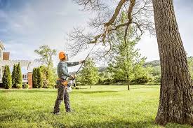 Best Hazardous Tree Removal  in Lake Telemark, NJ